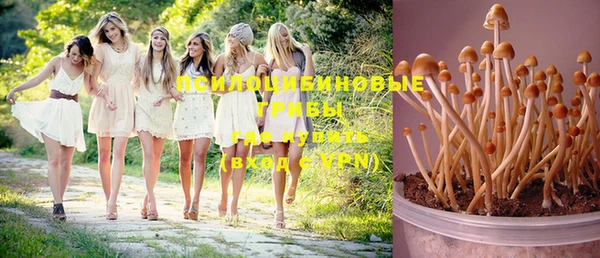 герыч Медвежьегорск