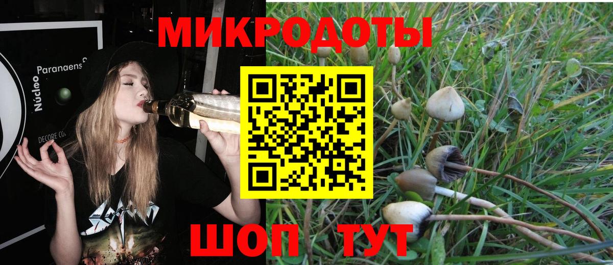 продажа наркотиков  Псилоцибиновые грибы Cubensis  Вход с VPN  Череповец 