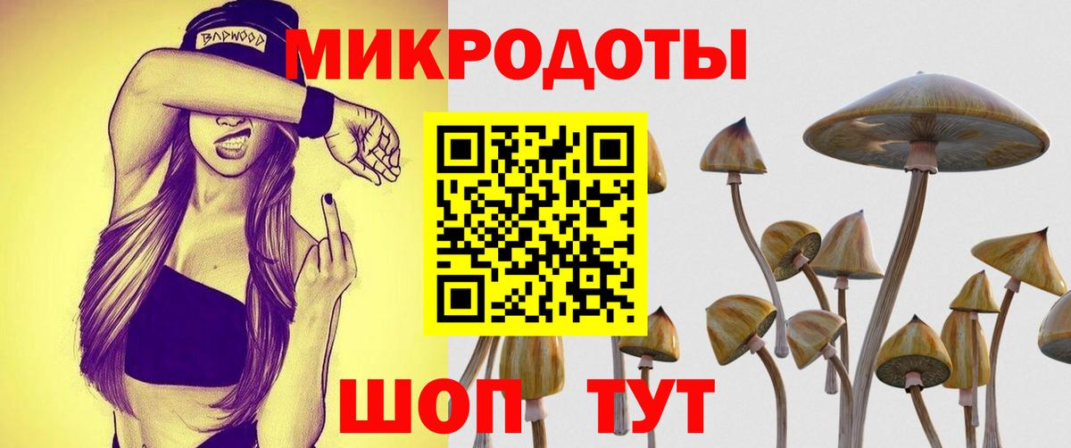 Галлюциногенные грибы Psilocybe  Череповец 