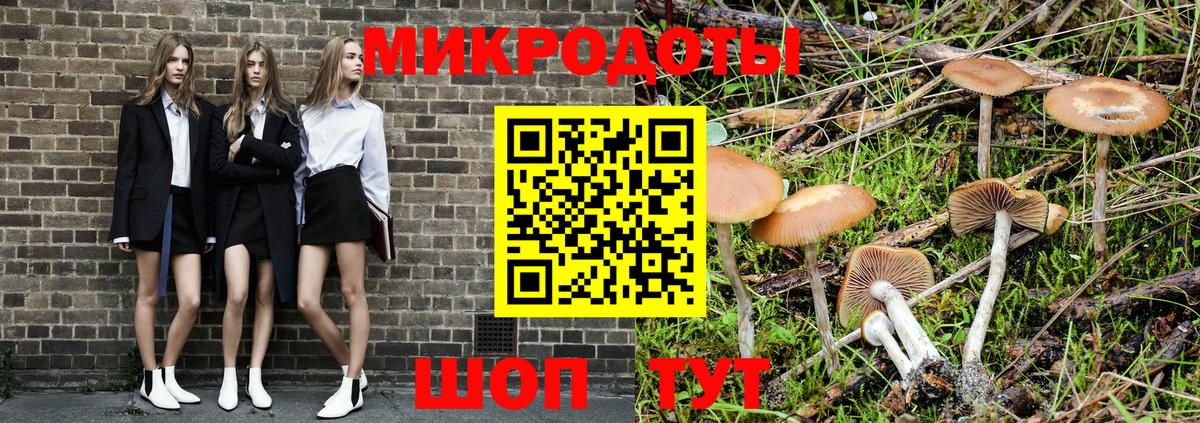 Галлюциногенные грибы мицелий Череповец