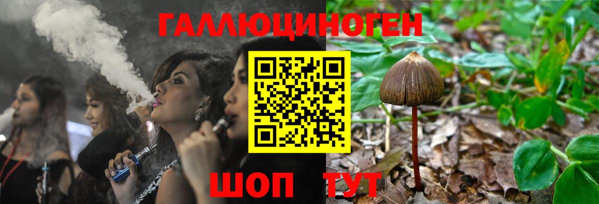 Псилоцибиновые грибы Psilocybine cubensis Череповец